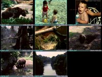 CC0008.GIF