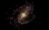 M83.GIF