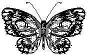 BUTTRFLY.PCX