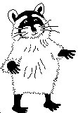 RACCOON.PCX