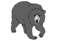 BEAR.PCX