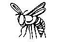 BEE05.PCX