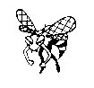 BEE22.PCX