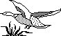BIRD08.PCX