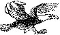 BIRD10.PCX