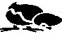 BIRD68.PCX
