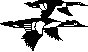 BIRD71.PCX