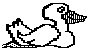 BIRD72.PCX