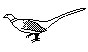 BIRD84.PCX