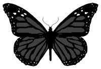 BUTTRFLY.PCX