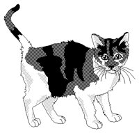 CAT.PCX