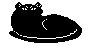 CAT05.PCX