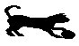 CAT11.PCX