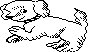 DOG11.PCX