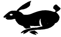 HARE.PCX