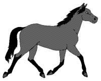 HORSE.PCX