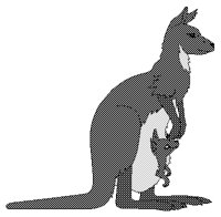 KANGAROO.PCX