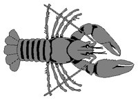LOBSTER.PCX
