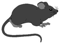 MOUSE.PCX
