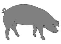 PIG.PCX