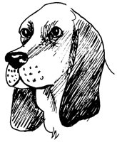 RAC142.PCX