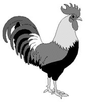 ROOSTER.PCX