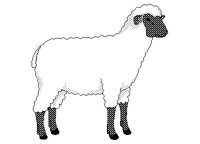 SHEEP.PCX