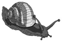 SNAIL.PCX