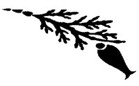 CEDAR.PCX