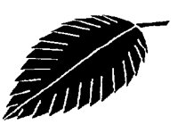 ELMLEAF.PCX