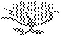 FLWR24.PCX