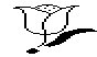 FLWR30.PCX