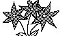 FLWR38.PCX