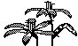 FLWR49.PCX