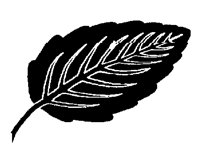 MINTLEAF.PCX