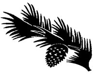 PINE.PCX