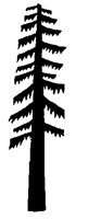 REDWOOD.PCX