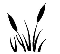 REEDS.PCX