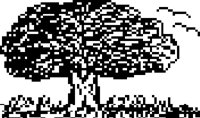 TREE15.PCX