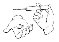 ILL176.PCX