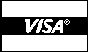 VISA1.PCX