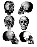 SKULL1.PCX