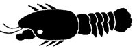 CRAYFISH.PCX