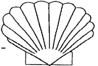 SCALLOP.PCX
