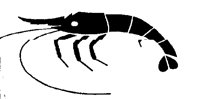 SHRIMP.PCX
