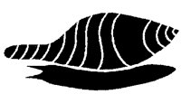 SNAIL.PCX