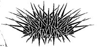 URCHIN.PCX