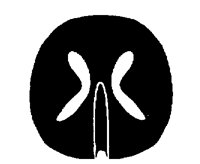 URCHIN3.PCX
