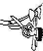 RIBBONCU.PCX