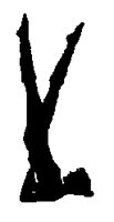 SIL132.PCX